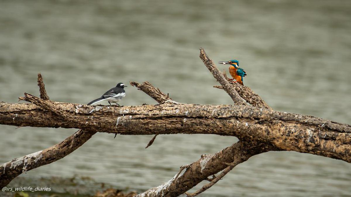 Image of  etc.