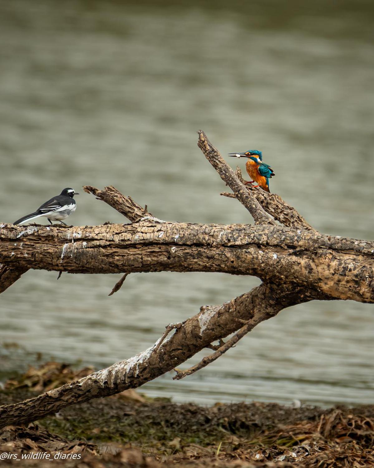 Image of  etc.