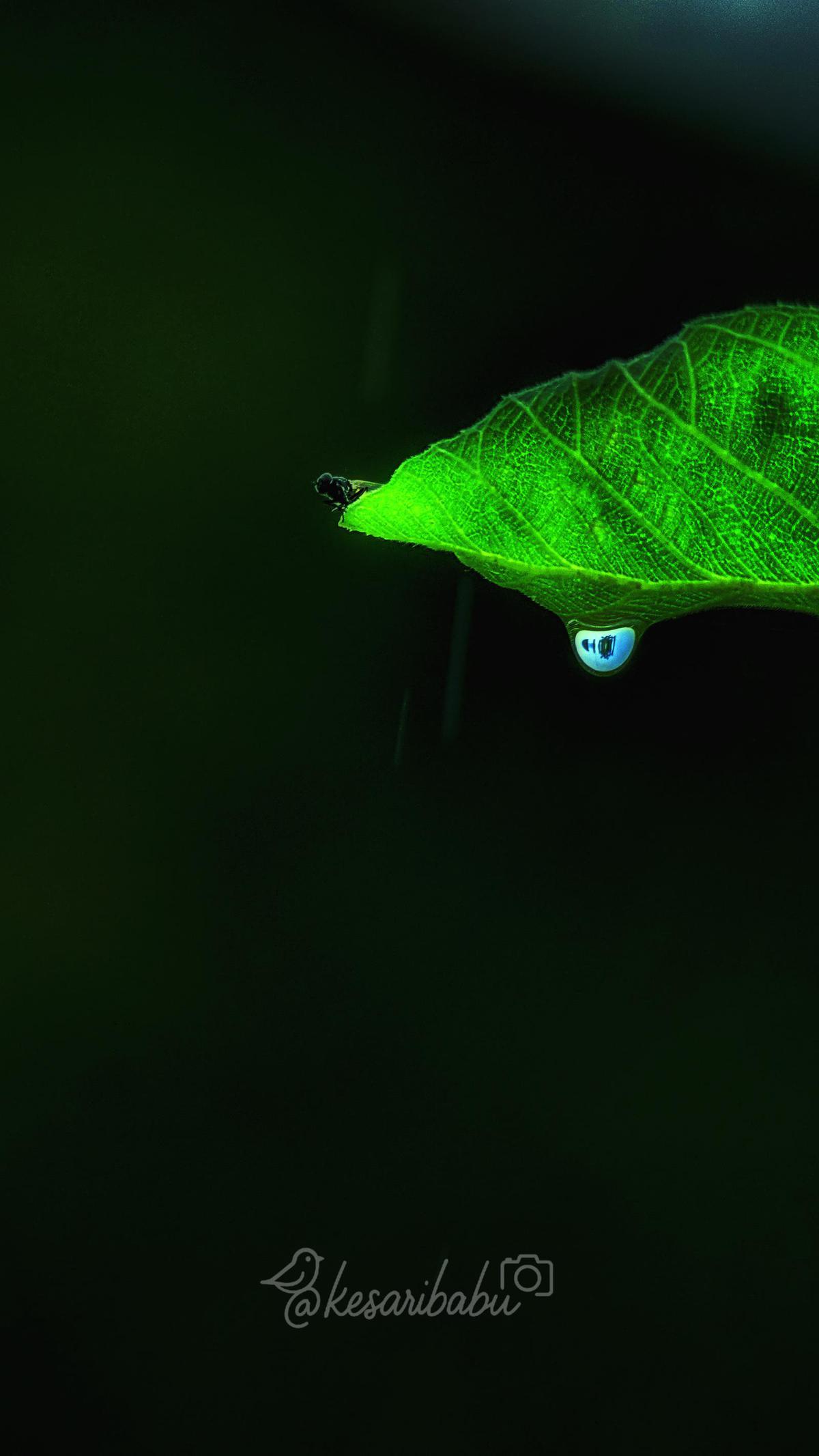 Image of etc.