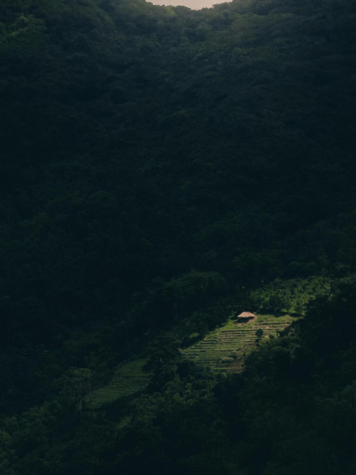 Image of etc.