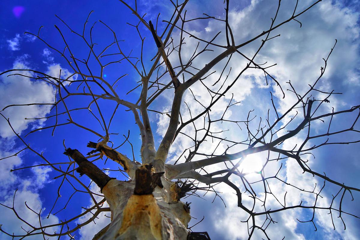 Image of  etc.