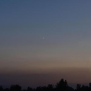 Images