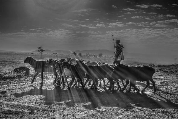 Image of Sky, Photography, Black-and-white, Monochrome photography, Monochrome, Black etc.