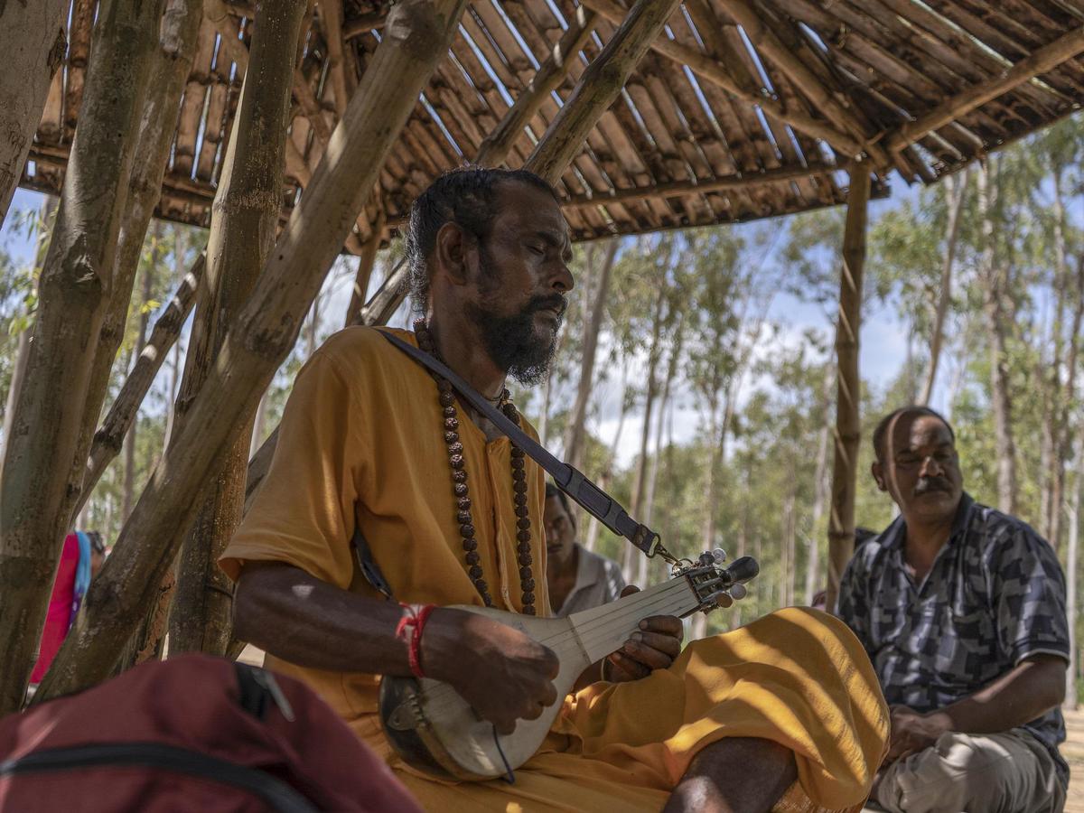Image of Temple, Tree, Music, Musical instrument, String instrument, Musician etc.