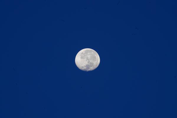 Image of Atmospheric phenomenon, Sky, Blue, Atmosphere, Astronomical object, Celestial event etc.