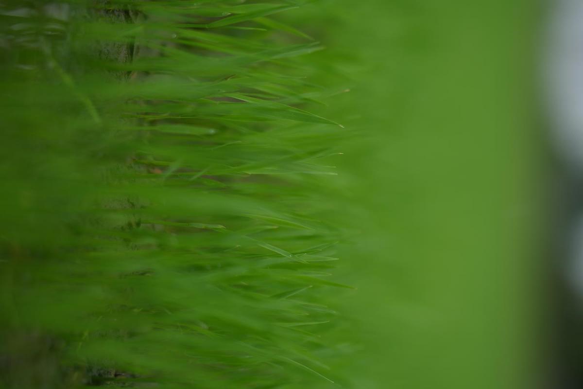 Image of  etc.