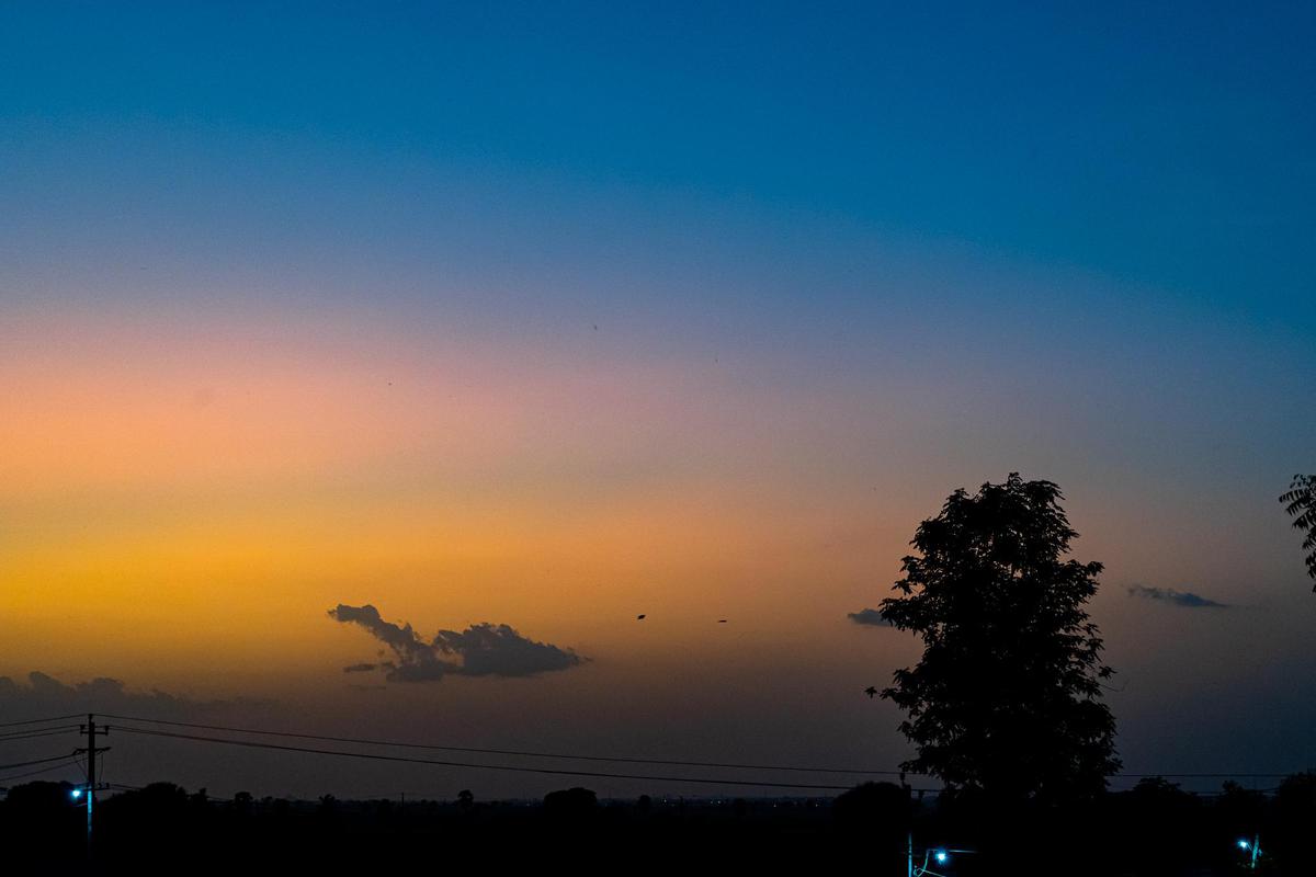 Image of Sky, Afterglow, Red sky at morning, Sunset, Tree, Sunrise etc.