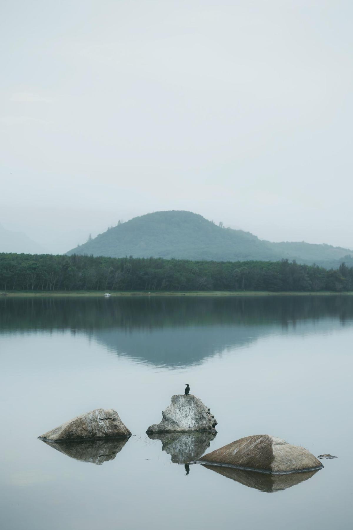 Image of  etc.