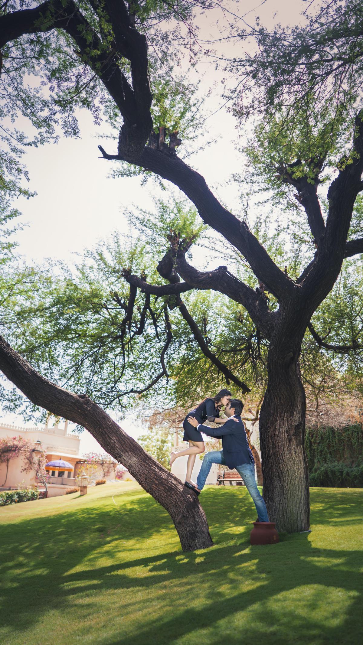 Image of Tree, Branch, Plant, Woody plant etc.