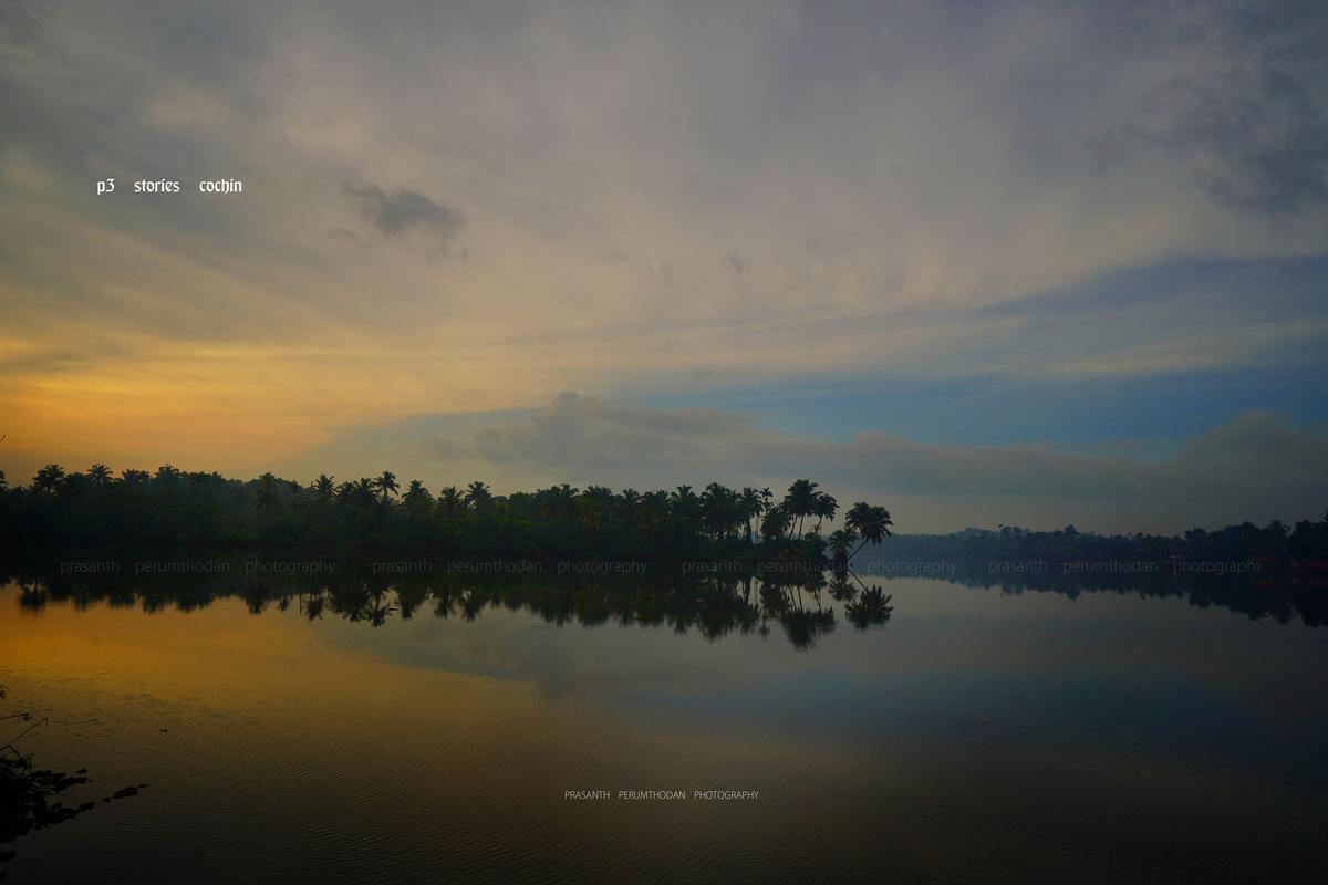 Image of Sky, Afterglow, Tree, Cloud, Natural landscape, Water etc.