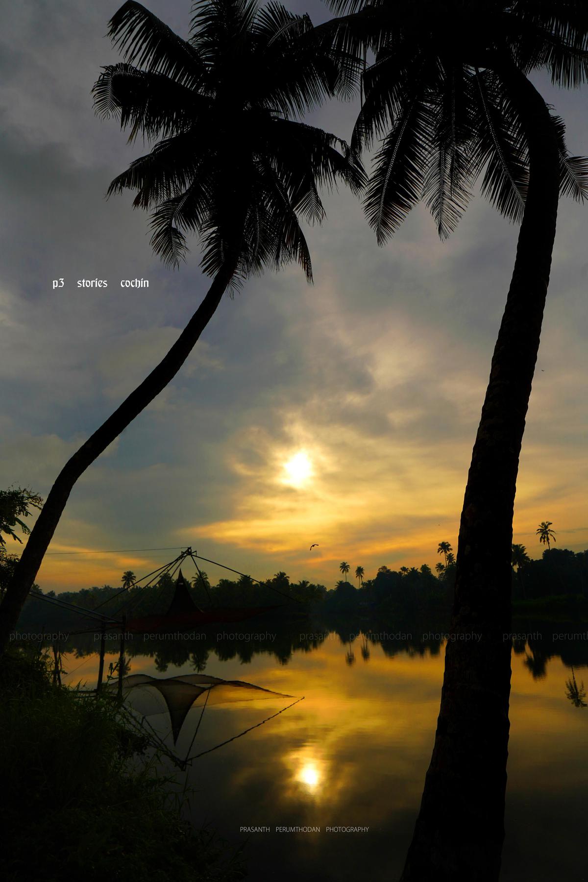 Image of Sky, Light, Cloud, Branch, Natural landscape, Water etc.