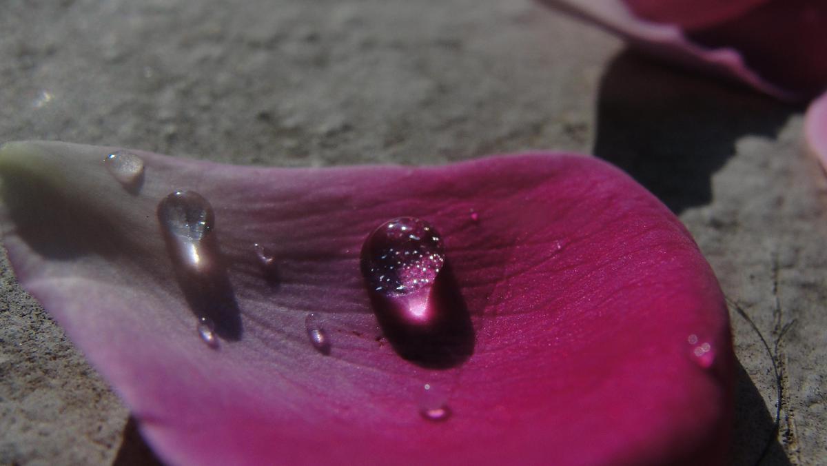 Image of Purple, Water etc.