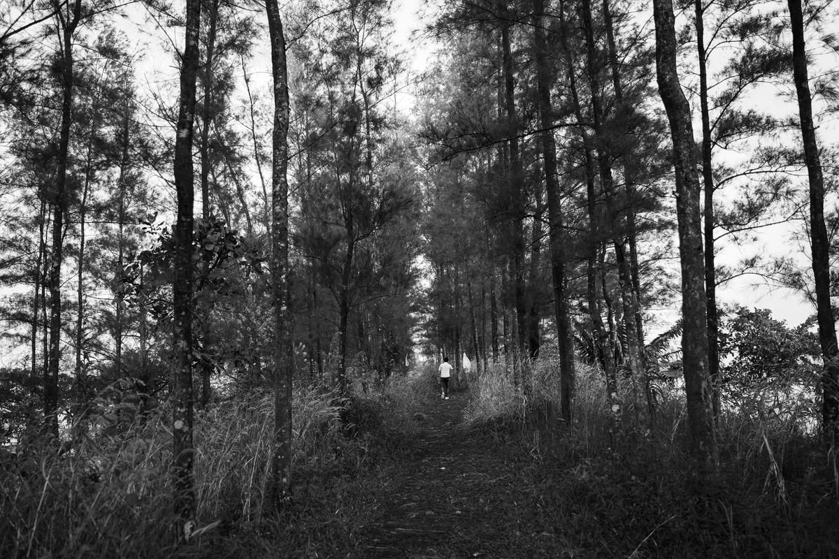 Image of Branch, Black-and-white, Monochrome photography, Monochrome, Woody plant, Natural environment etc.