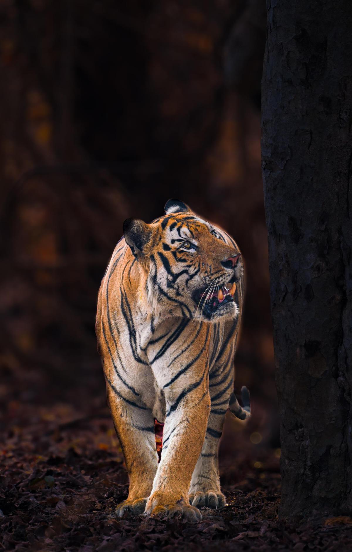 Image of  etc.