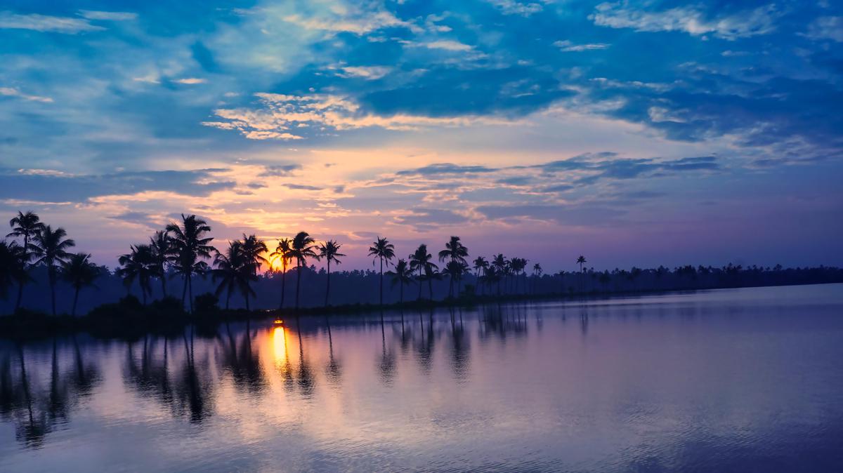 Image of Sky, Afterglow, Tree, Cloud, Natural landscape, Water etc.