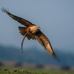 eyJ0eXAiOiJKV1QiLCJhbGciOiJIUzI1NiJ9.eyJpZCI6MTgyNzY5fQ.cfbuG44sWMRLqk17_a7M3BIDsJGsm5Ohjp5QhJO1v5c.jpg