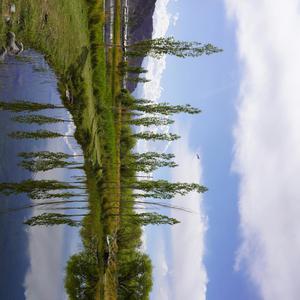Images