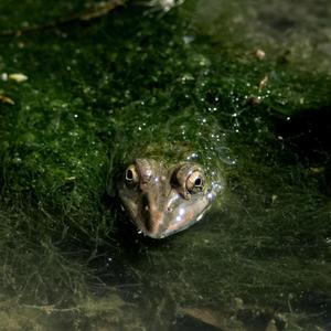 Image of  etc.