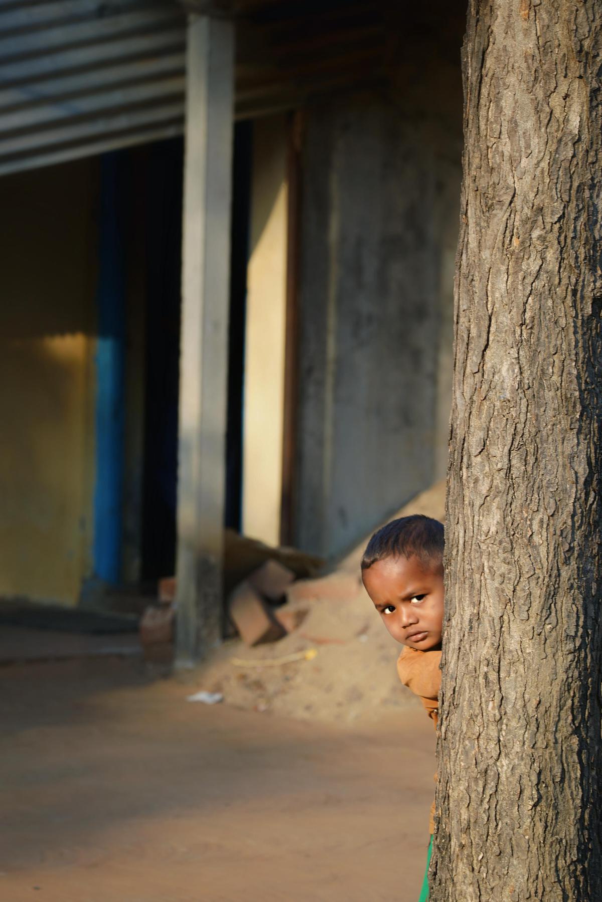 Image of Temple, Plant, Chin, Wood etc.