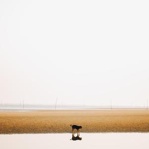 Images