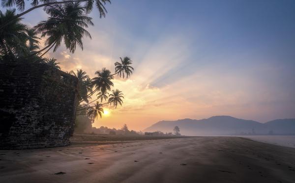 Image of Atmospheric phenomenon, Sky, Morning, Sunset, Tree, Sunrise etc.