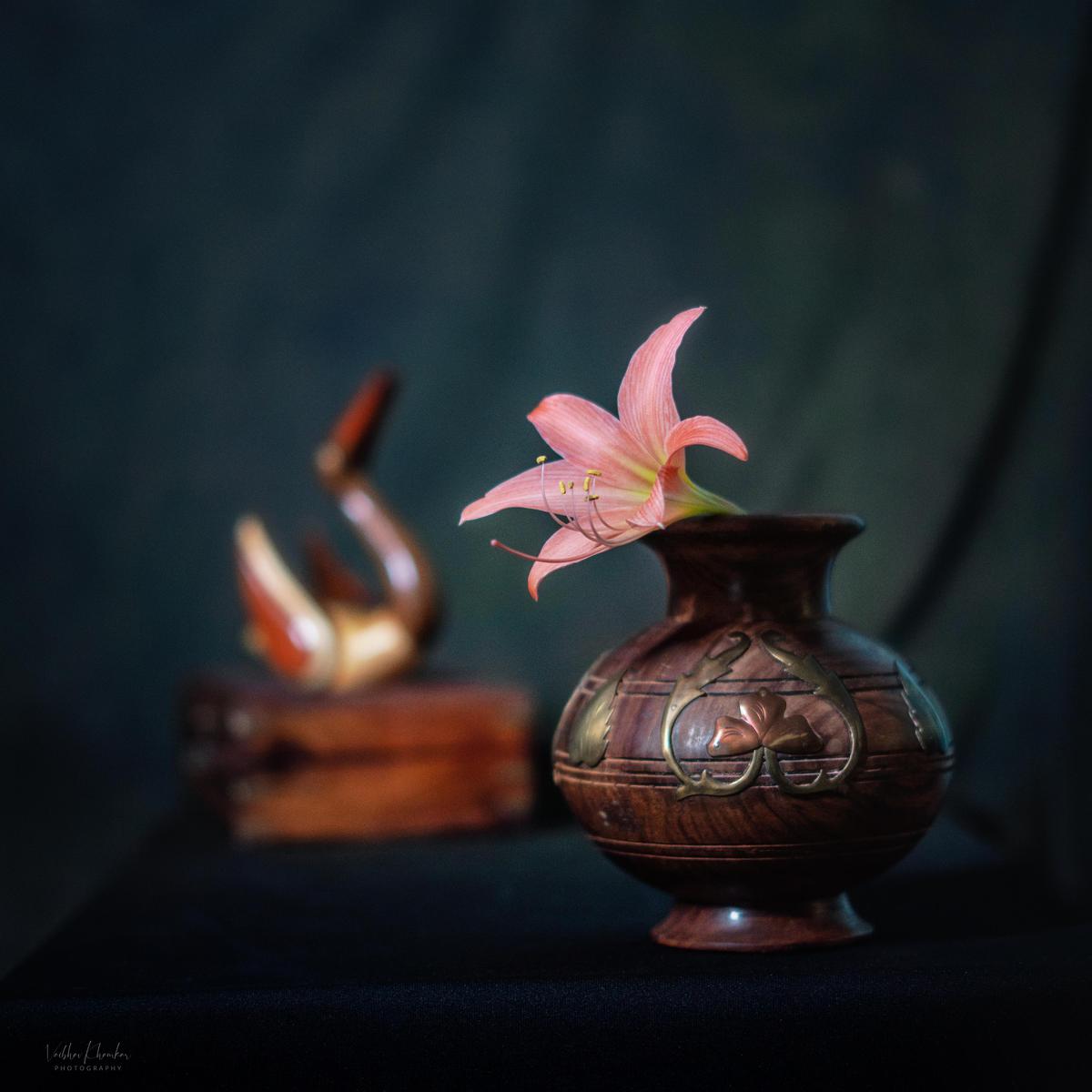 Image of Still life photography, Still life etc.