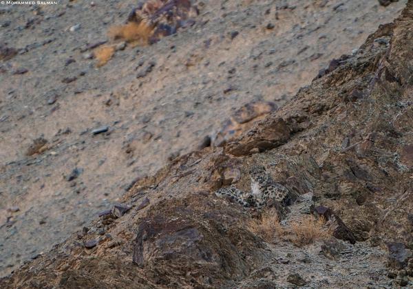 Image of Geological phenomenon, Rock, Brown, Geology, Soil, Bedrock etc.