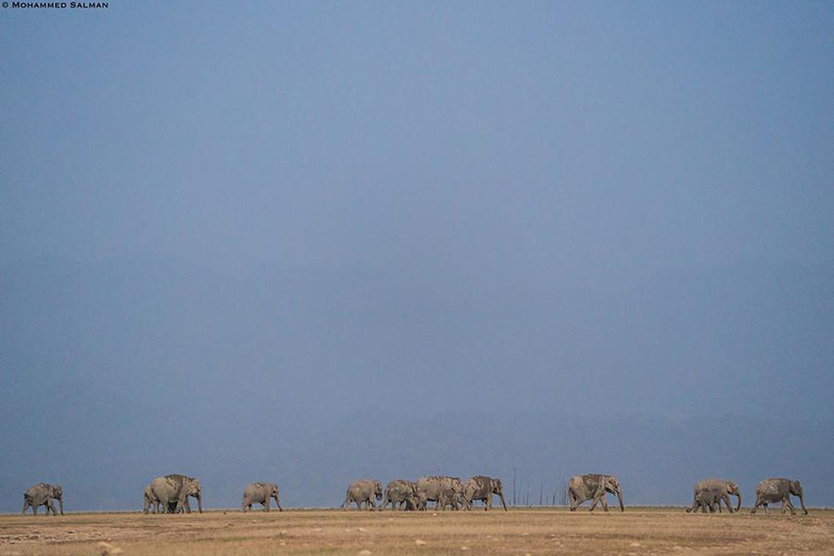 Image of Sky, Natural landscape, Grassland, Plain, Ecoregion etc.
