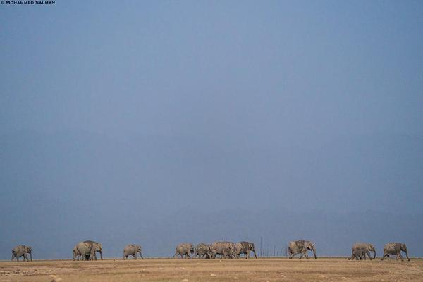 Image of Sky, Natural landscape, Grassland, Plain, Ecoregion etc.