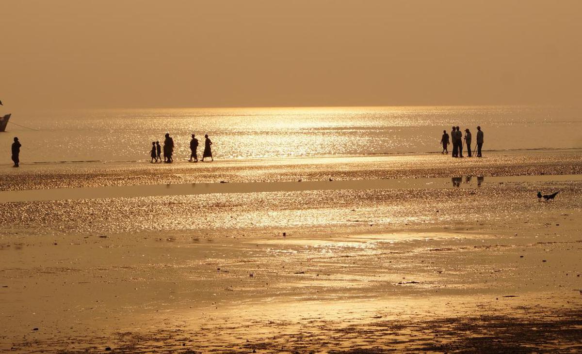 Professional and amateur photo Gallery