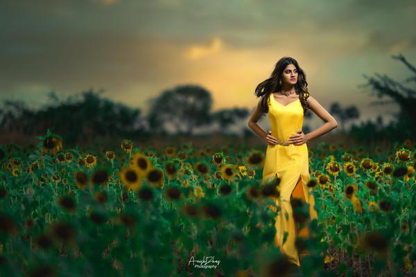 Image of Nature, Sky, Green, Photograph, Natural landscape, Yellow etc.