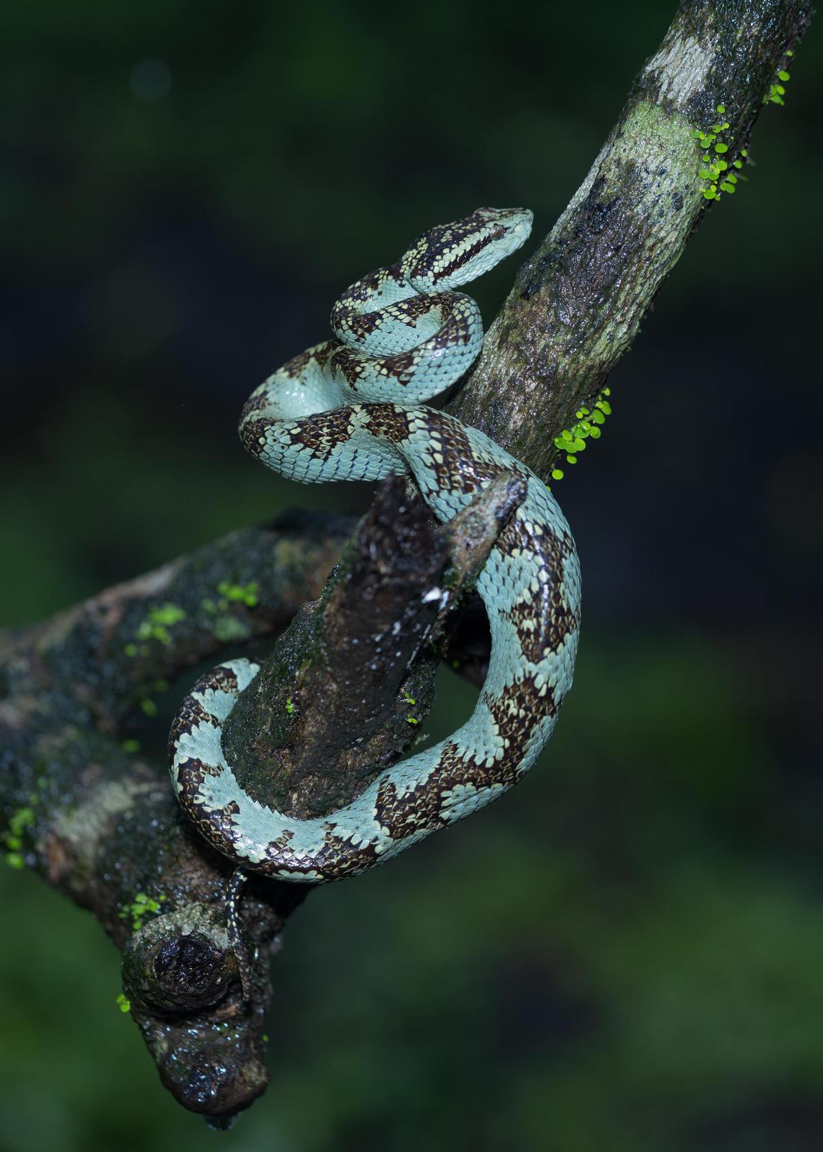 Image of  etc.