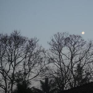 Images