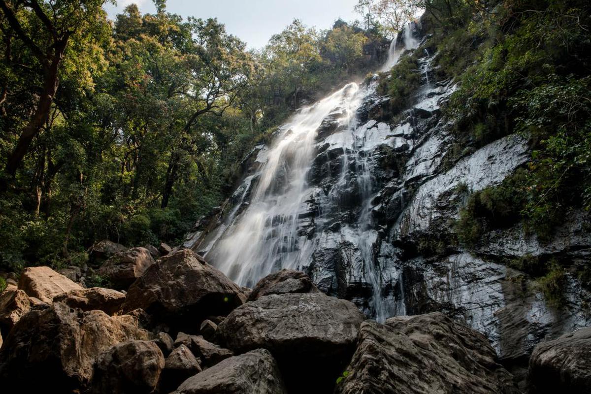 amateur image galerie 63