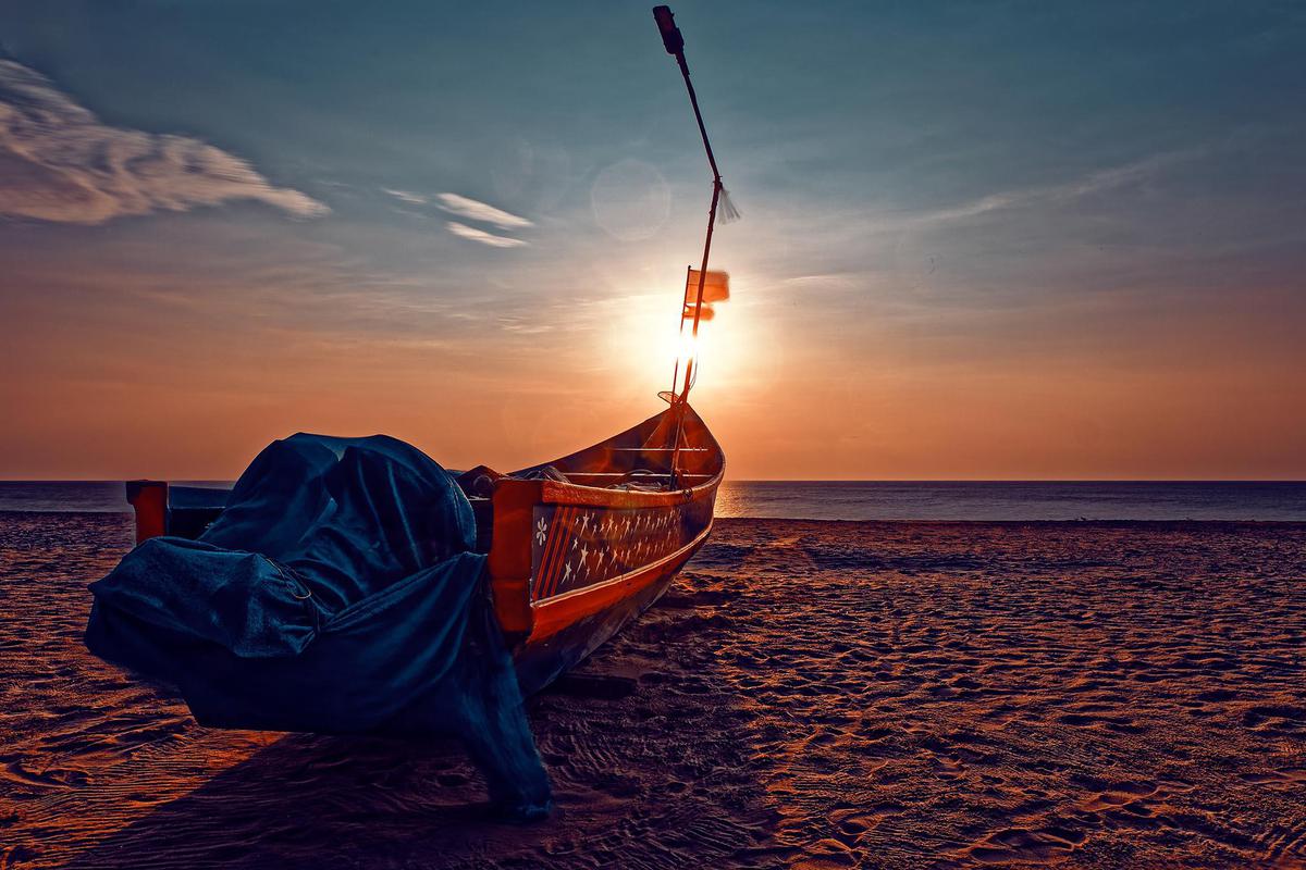 Image of Wood, Sunlight, Body of water, Vehicle, Beach, Watercraft etc.