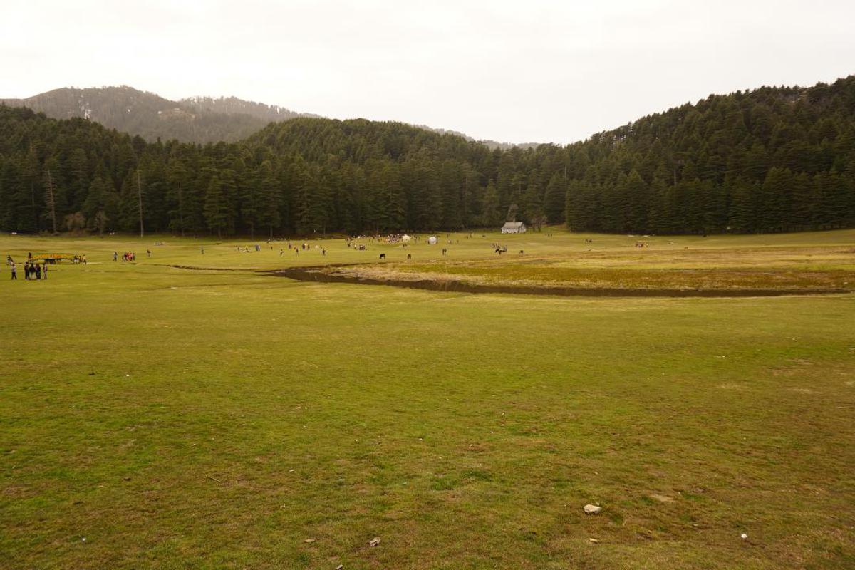 Image of  etc.