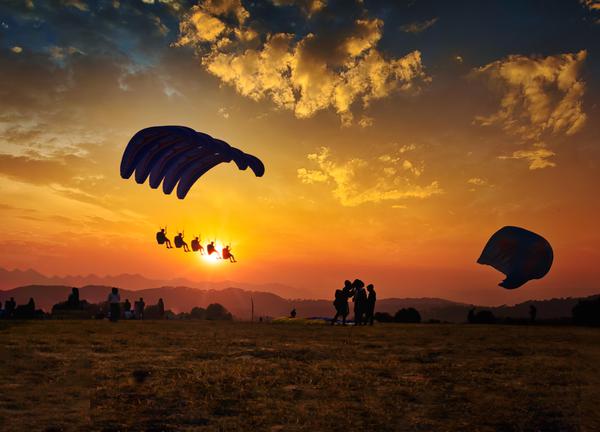 Image of Nature, Sky, Afterglow, Cloud, Orange, Vertebrate etc.