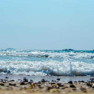 Images