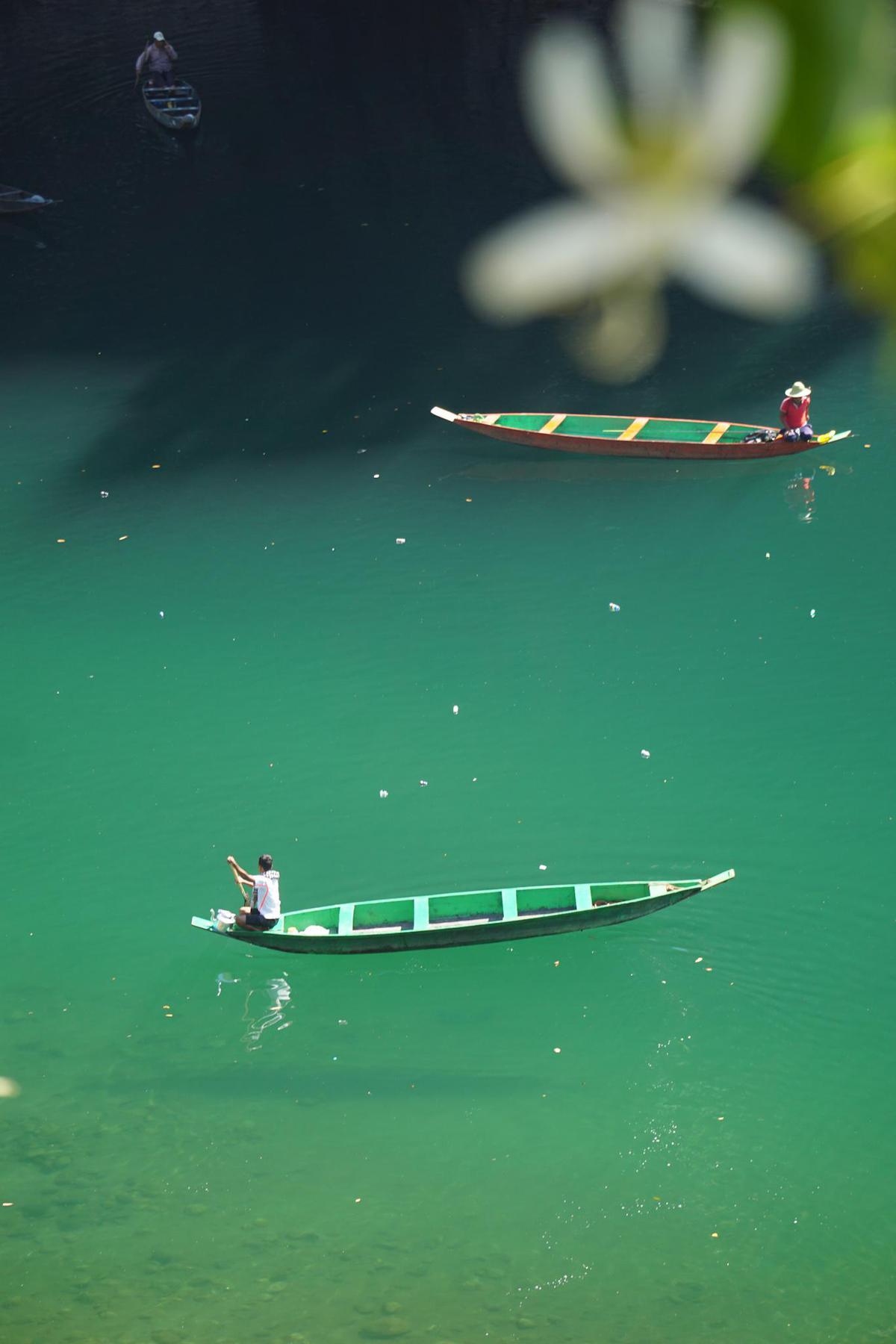 Image of Green, Water etc.