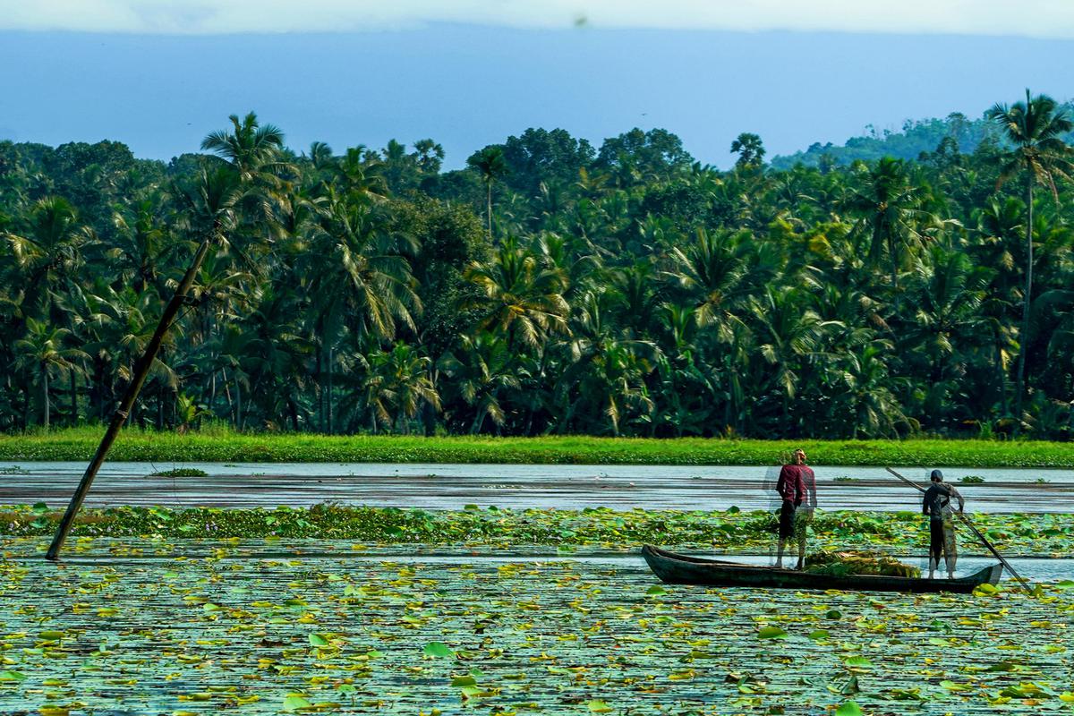 Image of Nature, Sky, Tree, Natural landscape, Vegetation, Water etc.