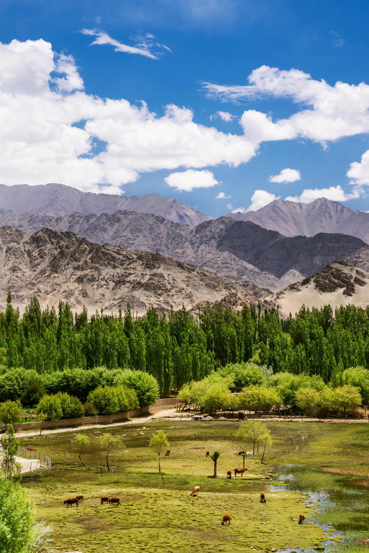 Image of Nature, Highland, Sky, Mountainous landforms, Mountain, Wilderness etc.