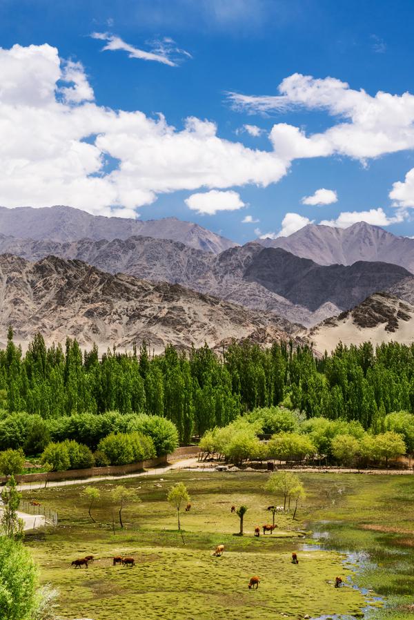 Image of Nature, Highland, Sky, Mountainous landforms, Mountain, Wilderness etc.