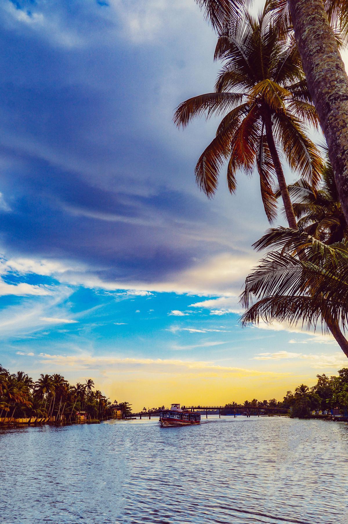 Image of Nature, Sky, Tree, Cloud, Water, Evening etc.