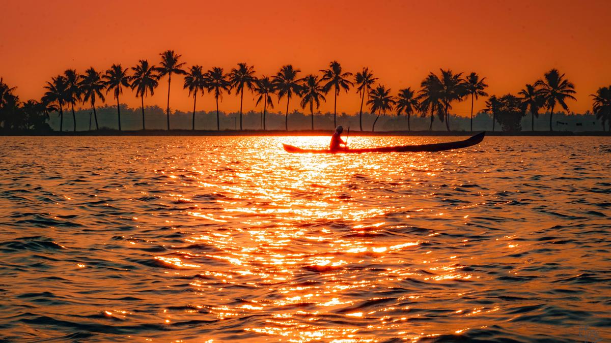 Image of Nature, Sky, Sunset, Tree, Sunrise, Water etc.