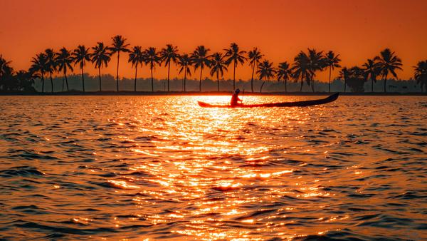 Image of Nature, Sky, Sunset, Tree, Sunrise, Water etc.