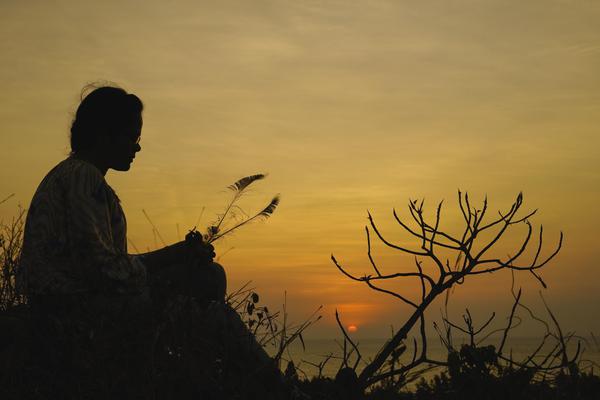 Image of Sky, Morning, Sunset, Branch, Yellow, Silhouette etc.