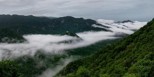 Image of Highland, Sky, Mountain, Tree, Cloud, Natural landscape etc.