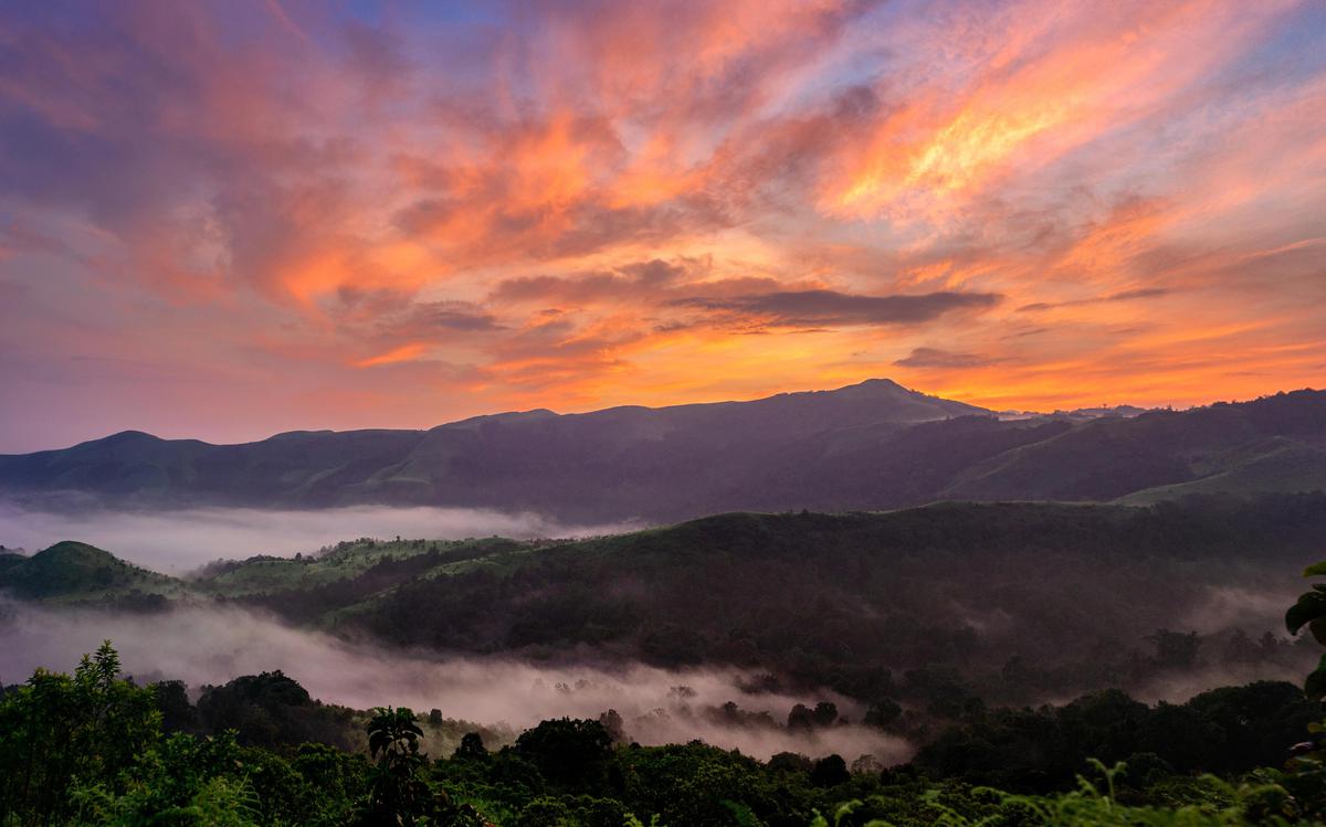 Image of Atmospheric phenomenon, Sky, Mountain, Afterglow, Tree, Cloud etc.