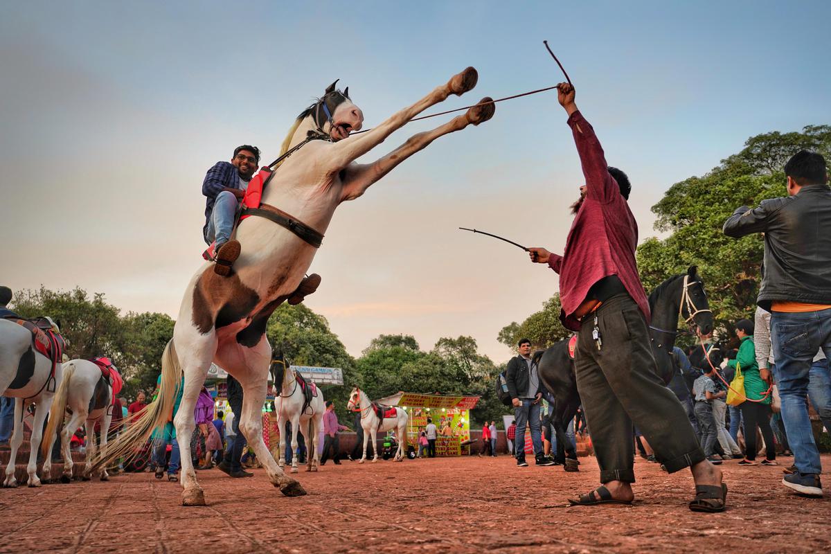 Image of Fun, People, Jumping etc.