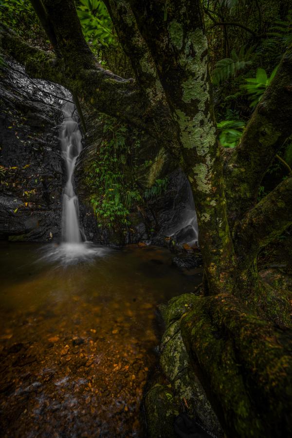 Image of Nature, Tree, Green, Natural landscape, Vegetation, Water etc.